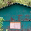 Square Exterior of shed in the forest with white window and peeling green paint on wall