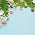 Square Flat lay. Top view. Frame of shells of various kinds on a blue background. Seashells on a pastel background. Royalty Free Stock Photo