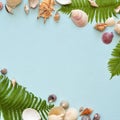 Square Flat lay. Top view. Frame of shells of various kinds on a blue background. Seashells on a pastel background. Royalty Free Stock Photo