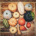 Square flatlay, various sorts of pumpkin squash on wooden table