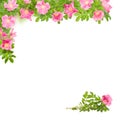 Square floral frame with pink briar