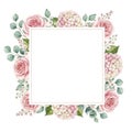 Square floral frame with pink roses and hydrangeas isolated on white background Royalty Free Stock Photo