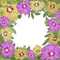 Square flower frame with hibiscus flowers. Floral garland wreath. Royalty Free Stock Photo