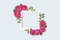 Square flower frame made of pink rose on a blue pastel background Royalty Free Stock Photo