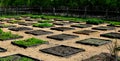 Square Foot Garden Plot Royalty Free Stock Photo