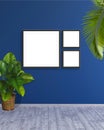 3 square format frame mockup on a blue wall with green leaf plants 3d rendering ilustration. Royalty Free Stock Photo