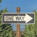 Square frame Close up of a One Way road sign against tree leaves and blue sky on a sunny day Royalty Free Stock Photo