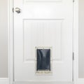 Square frame Close up of white wooden panelled door with small pet door at the bottom