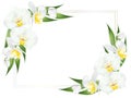 Frame decorated with white orchid