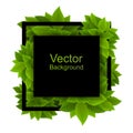 Square frame with dense foliage. Vector foliage with black square on white background.