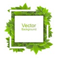 Square frame with dense foliage. Vector on white backgroun