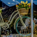 Square frame Flowering plants and hanging bicyle with baskets of tulips behind a glass wall