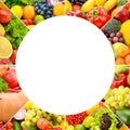 Square frame fruits and vegetables separated lines on w Royalty Free Stock Photo