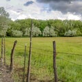 Square frame Grassy field and lush trees behind wire fence and wood posts lining a road Royalty Free Stock Photo