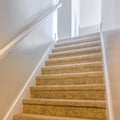 Square frame Interior of a house with a staircase covered with brown carpet Royalty Free Stock Photo