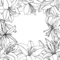 Square frame with Lily flower, bud and leaf. Hand drawn illustration. Vector outline sketc Royalty Free Stock Photo
