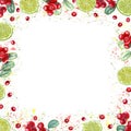 Square frame of lime slices, lingonberries. Citrus, red berries, green leaves and juicy splashes. Tropical fruit and Royalty Free Stock Photo