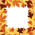Square frame made of autumn leaves. A design element.