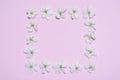Square frame made of blooming apple flowers on light pink pastel background. Beautiful spring composition, women`s or mother`s d