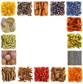 Square frame made of spices Royalty Free Stock Photo