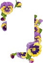 Square frame with pansy flowers, yellow and purple flowers green leaves ornament Royalty Free Stock Photo
