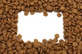 Square frame of pet (dog or cat) food for ackground use