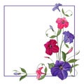 Square frame with purple and pink petunia