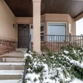 Square frame Snowy evergreens beside stairs that leads to porch of home with front bay window