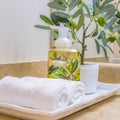 Square frame Tray with face towels hand soap and potted plant inside a clean bathroom Royalty Free Stock Photo