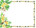 Square frame with tropical resort flowers frangipani plumeria.