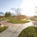 Square frame Vast park with pathways and trees on the grassy ground under the blazing sun Royalty Free Stock Photo