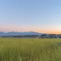 Square frame Vast terrain with green grasses against houses mountain and blue sky at sunset