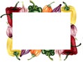 Square frame of vegetables of sweet peppers of different colors, onions, garlic with copy space on a white background.