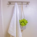 Square frame White towel and ornamental plant hanging on a wall rod inside a bathroom Royalty Free Stock Photo