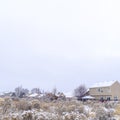 Square Frosted neighborhood scenery with houses and plants blanketed with winter snow