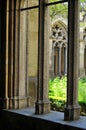 Square garden in Utrecht cathedral