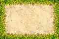 Square grass frame with copy-space on sand background Royalty Free Stock Photo