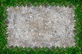 Square grass frame with copy-space on sand background Royalty Free Stock Photo