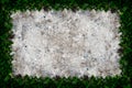 Square grass frame with copy-space on sand background Royalty Free Stock Photo