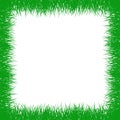 Square grass frame isolated. Vector illustration Royalty Free Stock Photo