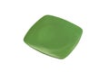 Square green dinner plate