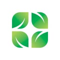 Square green natue leaf logo design