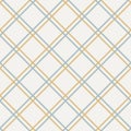 Square grid vector seamless pattern. Abstract linear geometric background. Plaid ornament Royalty Free Stock Photo