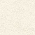 Handmade craquelure paint texture. Light cream, ivory coloured background.