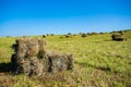 Square hay bales on green meadow on a  hot summer day Royalty Free Stock Photo