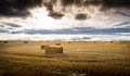 Square hay bales after harvest under a dramatic sky Royalty Free Stock Photo