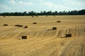 Square hay bales on a stubble field Royalty Free Stock Photo