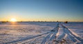 Square hay bales on a snow covered harvested field Royalty Free Stock Photo