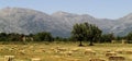 Square hay bales in a valley Royalty Free Stock Photo