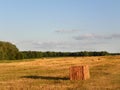 Square haybales in field during summer harvest